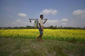 Daily Life In India