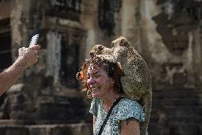 Monkey Buffet Festival In Thailand.