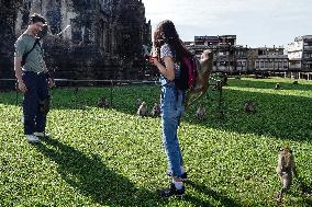 Monkey Buffet Festival In Thailand.