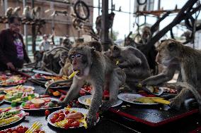 Monkey Buffet Festival In Thailand.