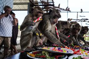 Monkey Buffet Festival In Thailand.