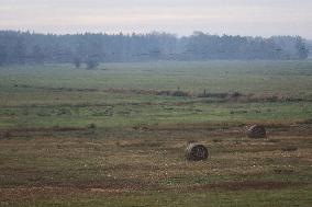 Fields In Malopolska