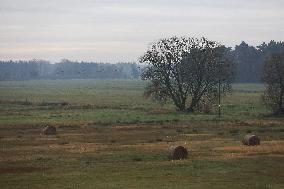 Fields In Malopolska