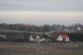 Fields In Malopolska