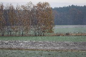 Fields In Malopolska