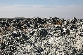 Austere Landscape Of Mud Volcano In Azerbaijan