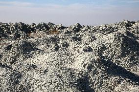 Austere Landscape Of Mud Volcano In Azerbaijan