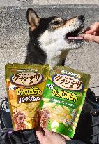 Potato snacks for dogs