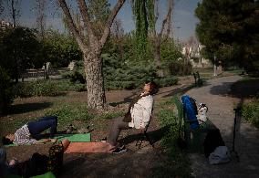 Nature Yoga In Tehran