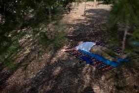 Nature Yoga In Tehran