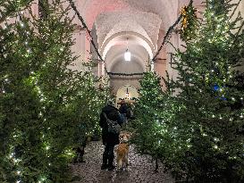 Advent Season - Christmas Spirit In Salzburg, Austria