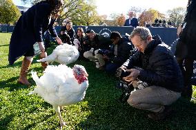 Biden Pardons the Thanksgiving Turkey - Washington