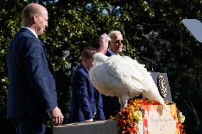 Biden Pardons the Thanksgiving Turkey - Washington