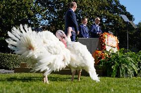 Biden Pardons the Thanksgiving Turkey - Washington