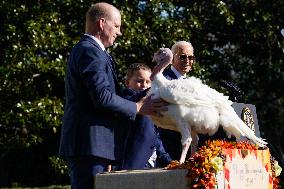Biden Pardons the Thanksgiving Turkey - Washington