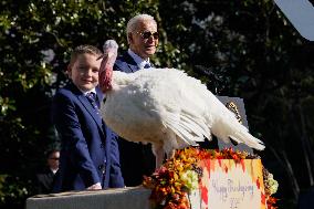 Biden Pardons the Thanksgiving Turkey - Washington