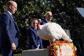 Biden Pardons the Thanksgiving Turkey - Washington