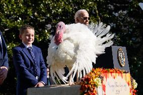 Biden Pardons the Thanksgiving Turkey - Washington