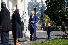 Biden Pardons the Thanksgiving Turkey - Washington