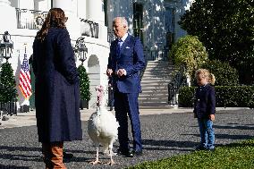 Biden Pardons the Thanksgiving Turkey - Washington