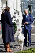 Biden Pardons the Thanksgiving Turkey - Washington