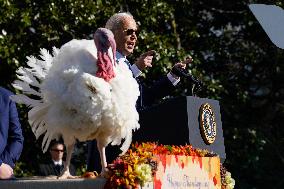 Biden Pardons the Thanksgiving Turkey - Washington