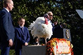 Biden Pardons the Thanksgiving Turkey - Washington