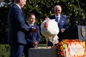 Biden Pardons the Thanksgiving Turkey - Washington