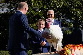 Biden Pardons the Thanksgiving Turkey - Washington