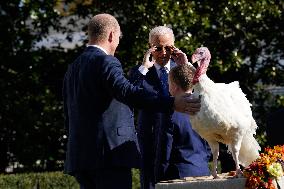 Biden Pardons the Thanksgiving Turkey - Washington