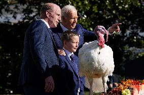 Biden Pardons the Thanksgiving Turkey - Washington