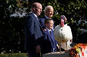 Biden Pardons the Thanksgiving Turkey - Washington