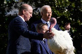 Biden Pardons the Thanksgiving Turkey - Washington