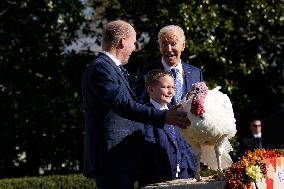 Biden Pardons the Thanksgiving Turkey - Washington