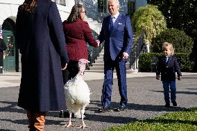 Biden Pardons the Thanksgiving Turkey - Washington