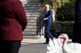 Biden Pardons the Thanksgiving Turkey - Washington