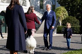 Biden Pardons the Thanksgiving Turkey - Washington