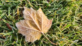 First Frost Of The Season In Toronto, Canada