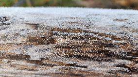 First Frost Of The Season In Toronto, Canada