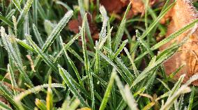 First Frost Of The Season In Toronto, Canada