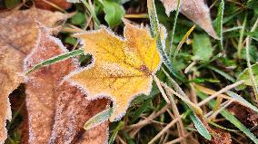 First Frost Of The Season In Toronto, Canada