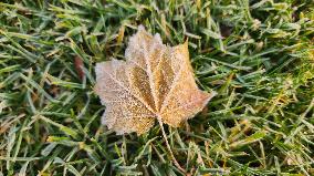 First Frost Of The Season In Toronto, Canada