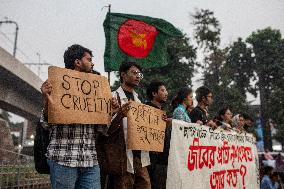 Protest Against Animal Cruelty In Dhaka