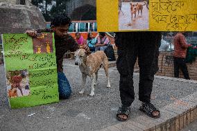 Protest Against Animal Cruelty In Dhaka