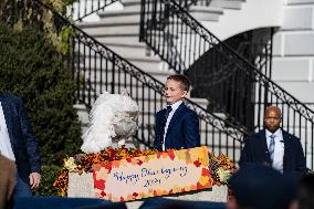 President Joe Biden Pardoned Peach And Blossom, Two Minnesota Turkeys