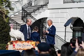 President Joe Biden Pardoned Peach And Blossom, Two Minnesota Turkeys