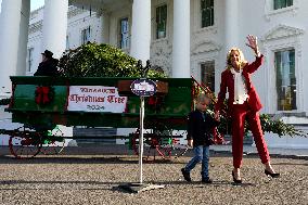 Jill Biden receives the Christmas Tree - Washington