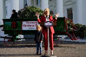 Jill Biden receives the Christmas Tree - Washington