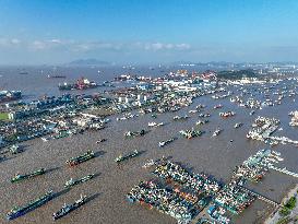 Fishing Boats Parked Port to Avoid Cold Wave