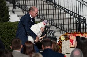 Biden Pardons The Thanksgiving Turkey - Washington